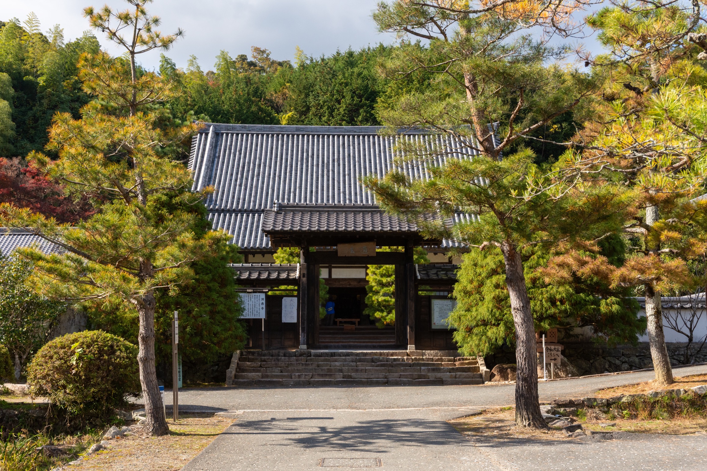 Do a Front AIR 2025 雪舟からの手紙